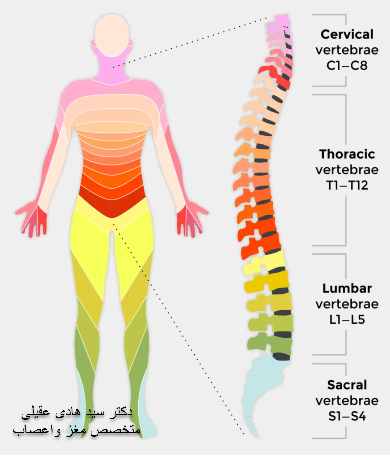 How to care for spinal cord patients